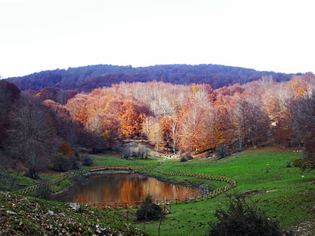 Irpinia